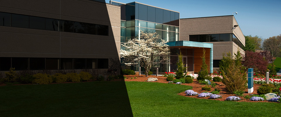 Montpelier Station Landscapers