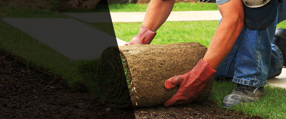 Montpelier Station Landscapers